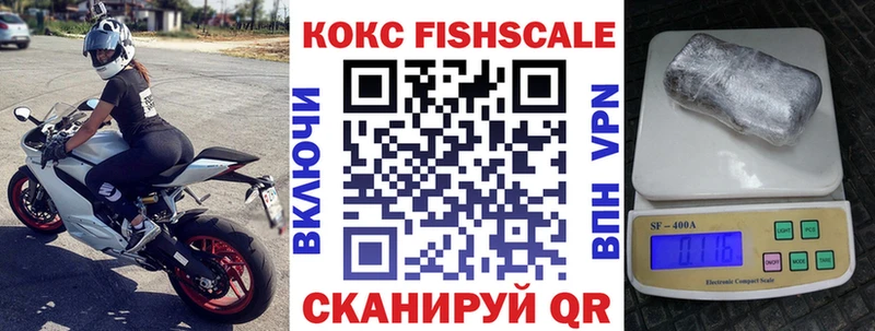 где можно купить наркотик  omg   Cocaine Fish Scale  Камызяк 