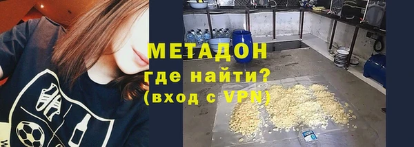 сатива Арсеньев